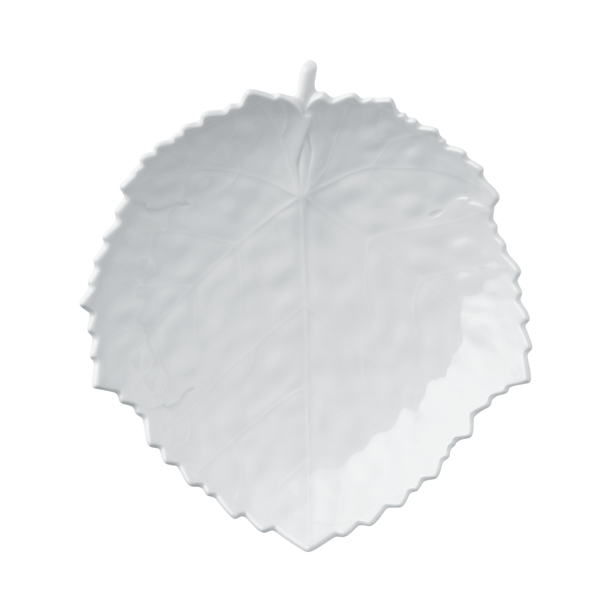 Cuenco BLATT, grande