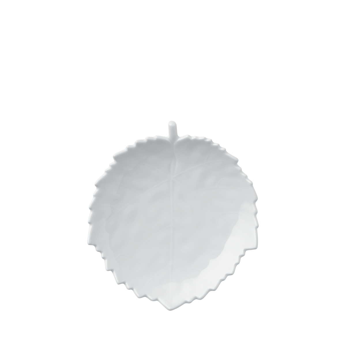 Cuenco BLATT, pequeño