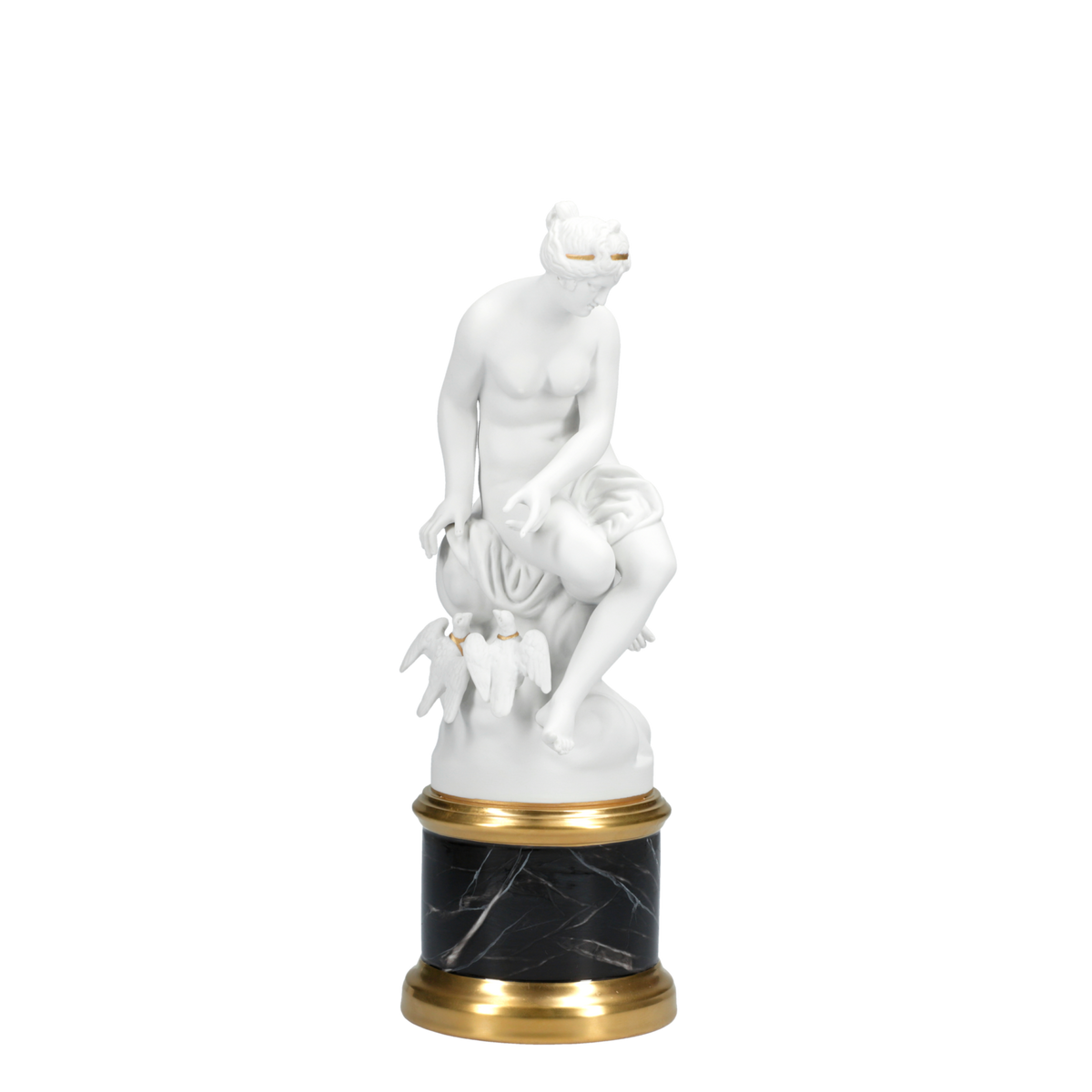 Modèle VENUS