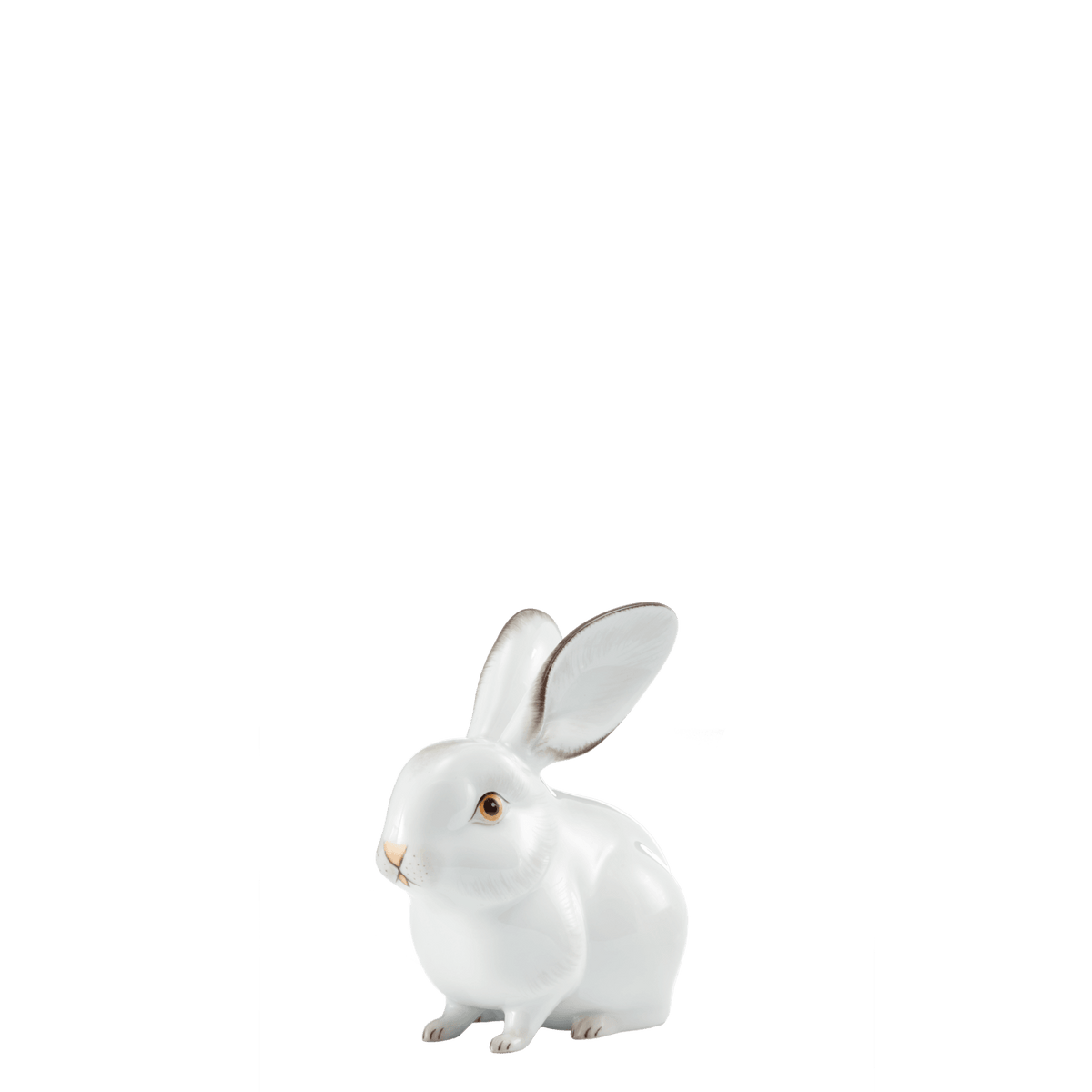 figure HARE sitting