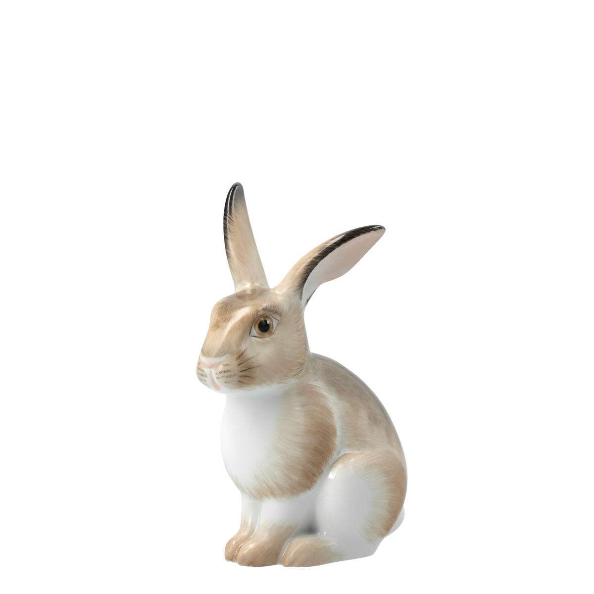 figure HASE squatting