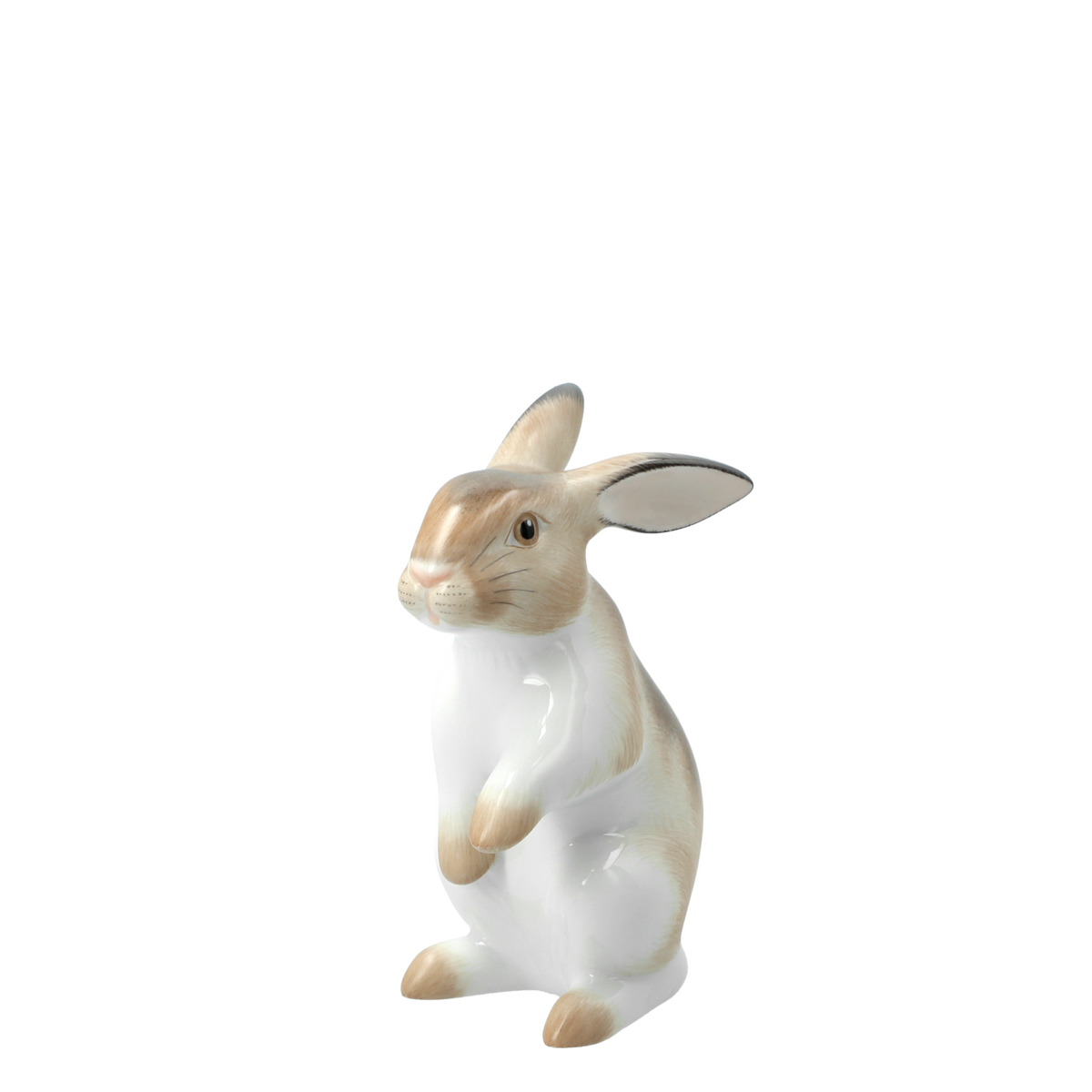 figure HARE standing