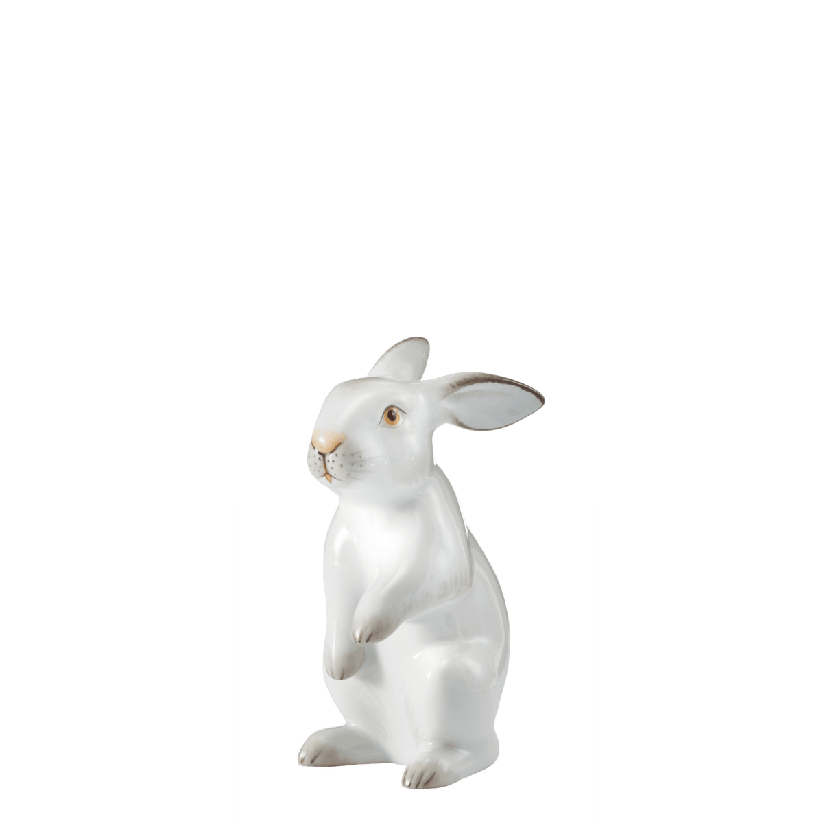 figure HARE standing